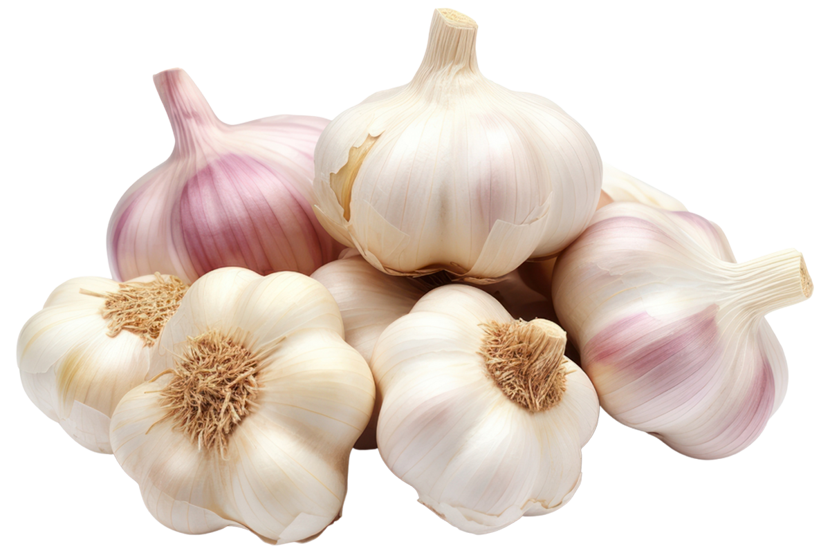 Carota Global olarak, ihracat standartlarına uygun, doğal ve aroması güçlü sarımsaklarımızı uluslararası pazara sunuyoruz. Her diş özenle seçilerek kalite kontrol süreçlerinden geçirilmektedir.