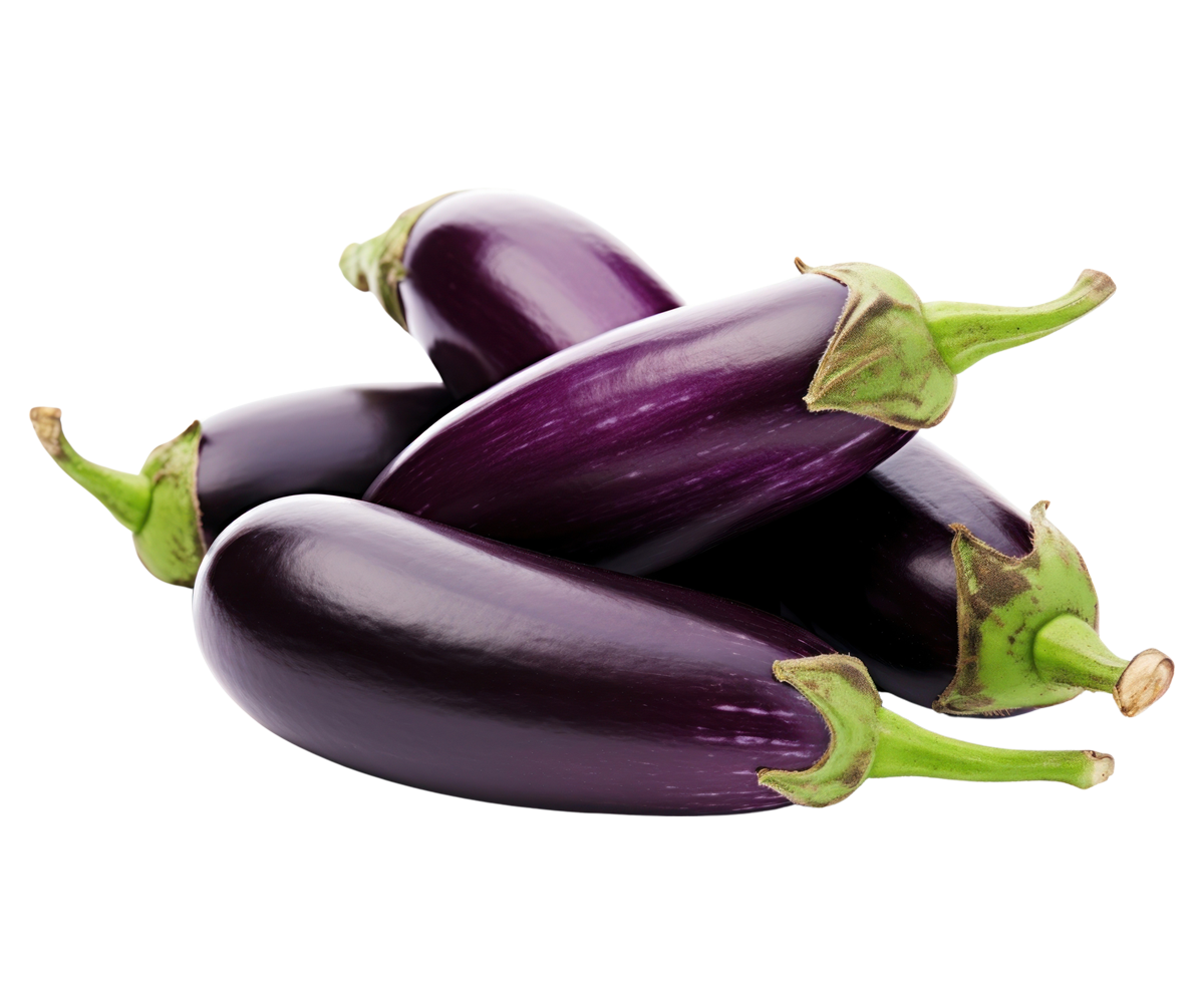 İhracat standartlarına uygun olarak yetiştirilen taze ve kaliteli patlıcan.Parlak mor rengi, güçlü kabuk yapısı ve uzun raf ömrü ile toptan dağıtım ve uluslararası sevkiyata uygundur.Farklı kalibre ve ambalaj seçenekleri mevcuttur.